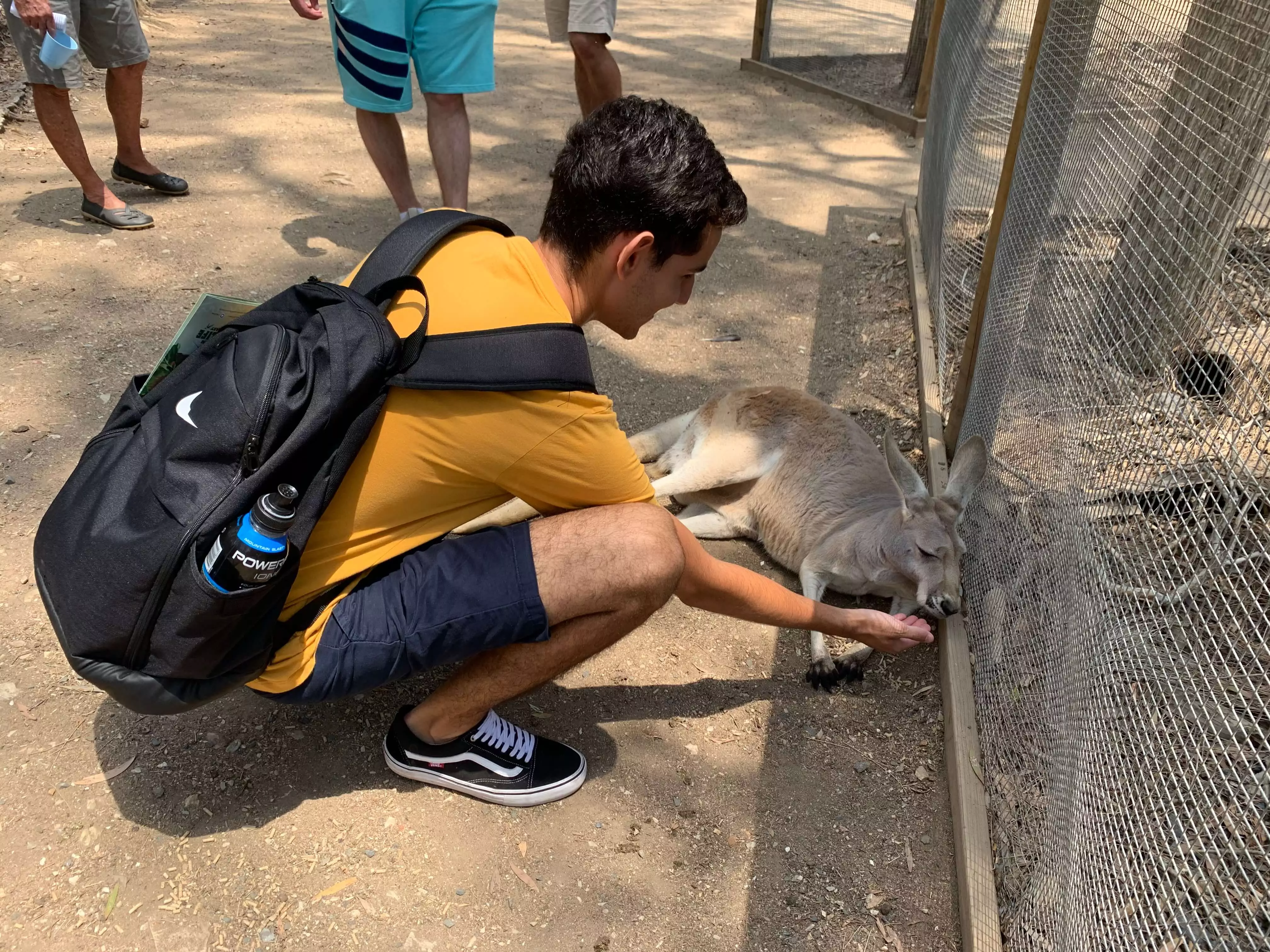 Bruno interagindo com um canguru na Austrália