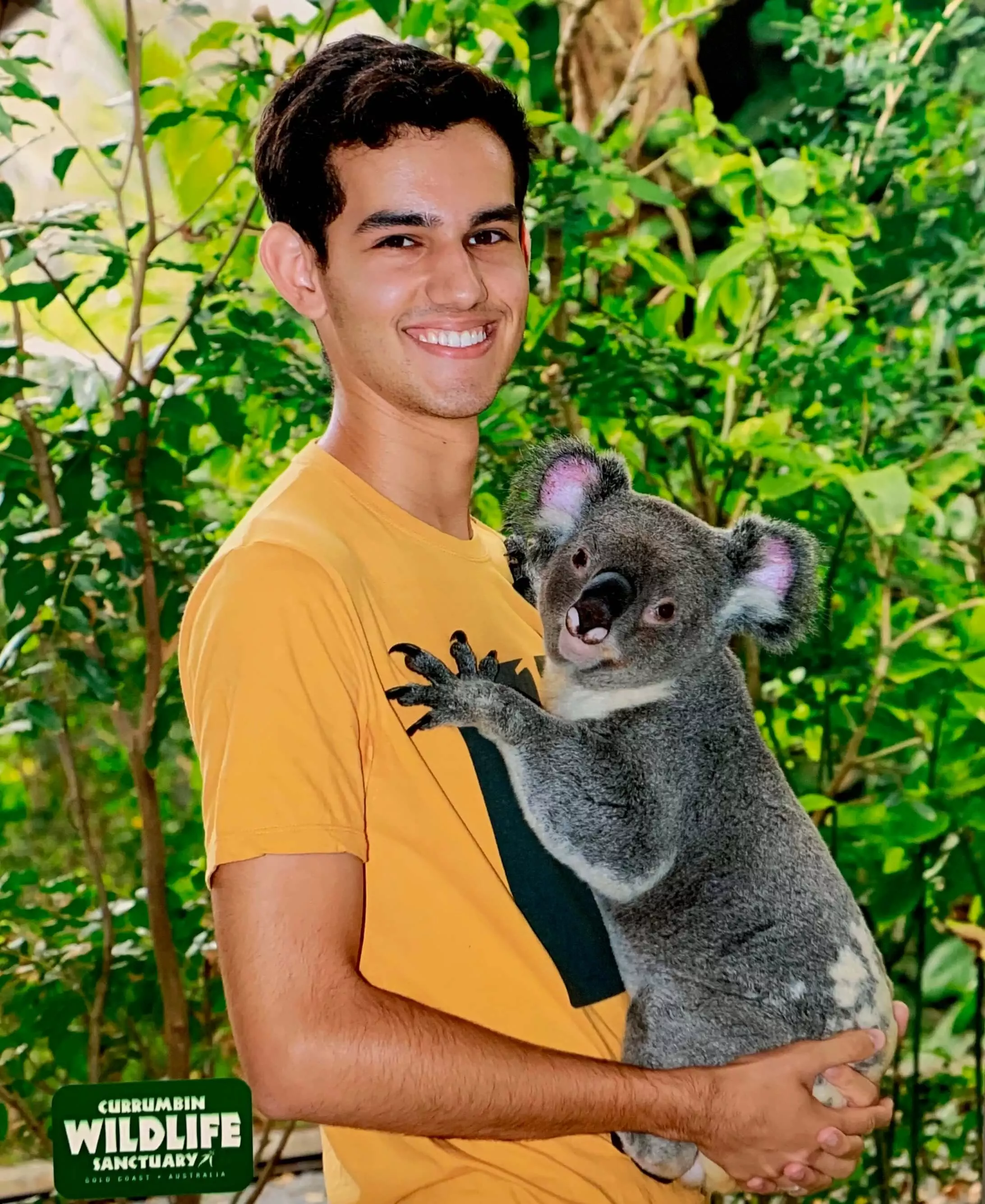 Bruno também teve a oportunidade de conhecer e ficar pertinho de um coala